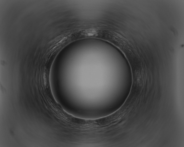 X0000090991442200708021512