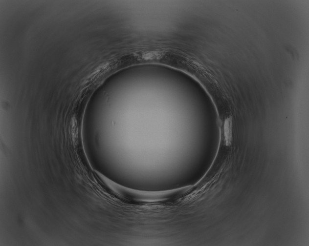X0000090991443200708021512