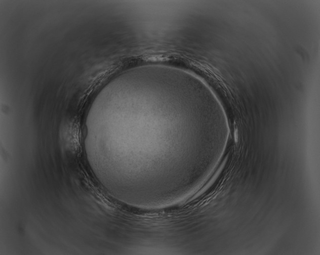 X0000090991444200708021512
