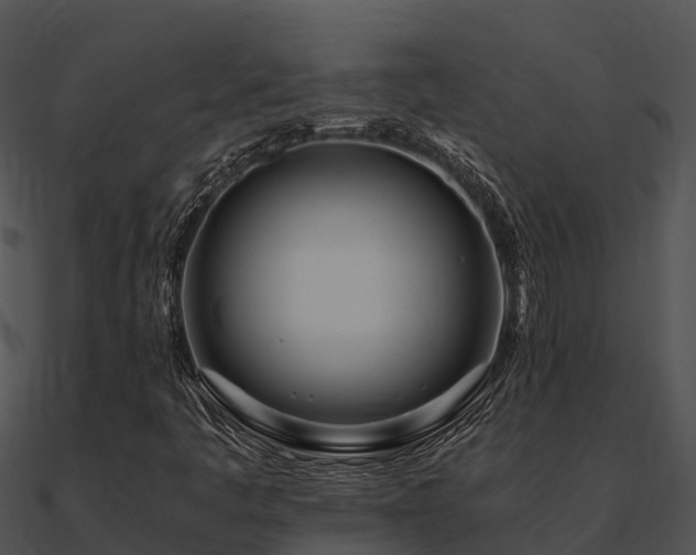 X0000090991445200708021512