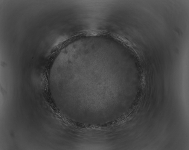 X0000090991446200708021512