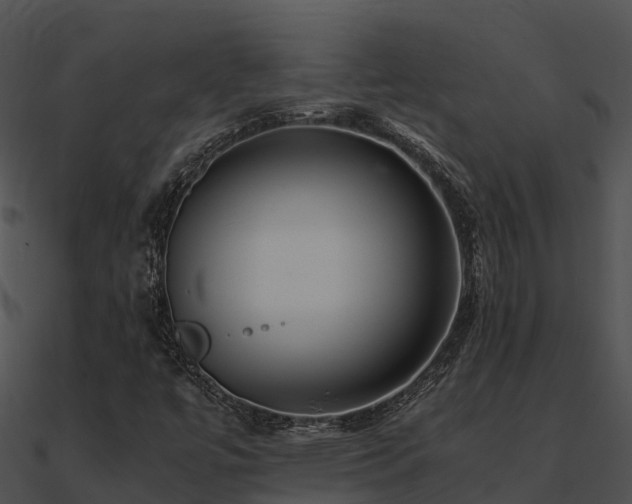 X0000090991447200708021512