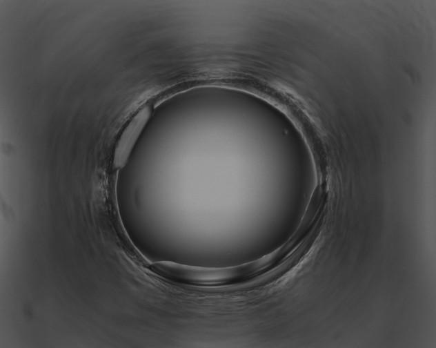 X0000090991449200708021512