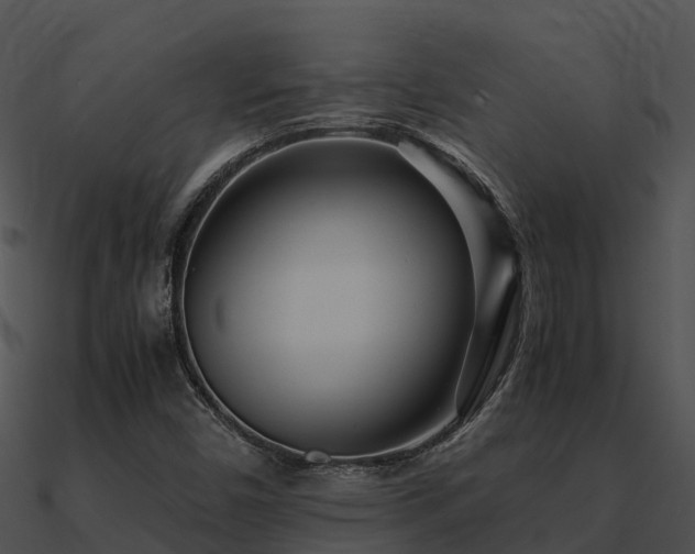 X0000090991450200708021512