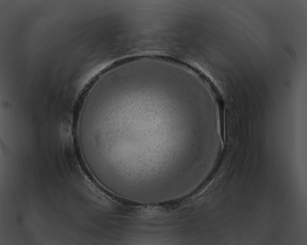 X0000090991452200708021512