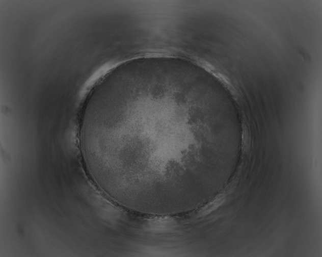 X0000090991454200708021512