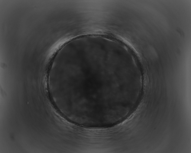 X0000090991455200708021512