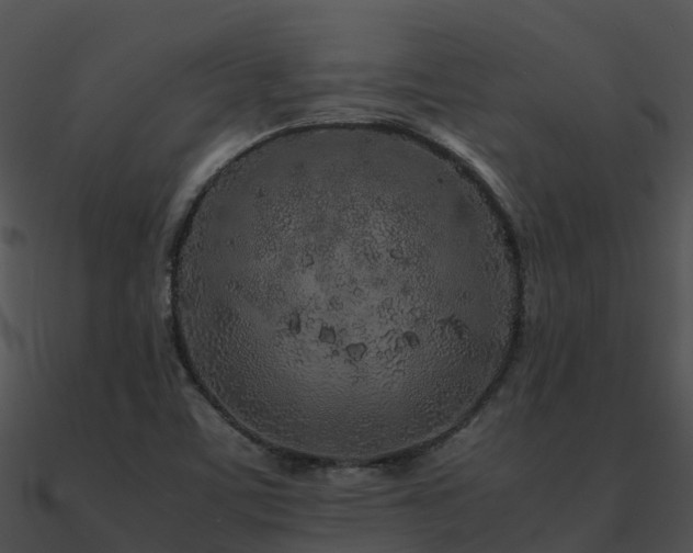 X0000090991459200708021512