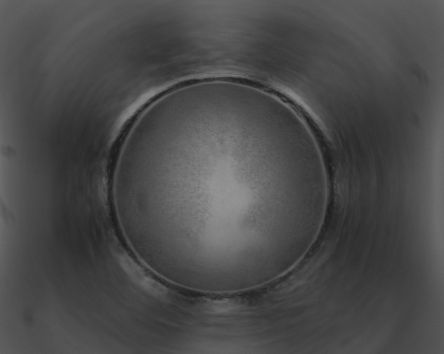 X0000090991460200708021512