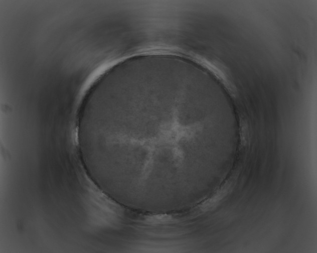 X0000090991462200708021512