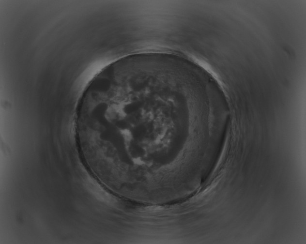 X0000090991463200708021512
