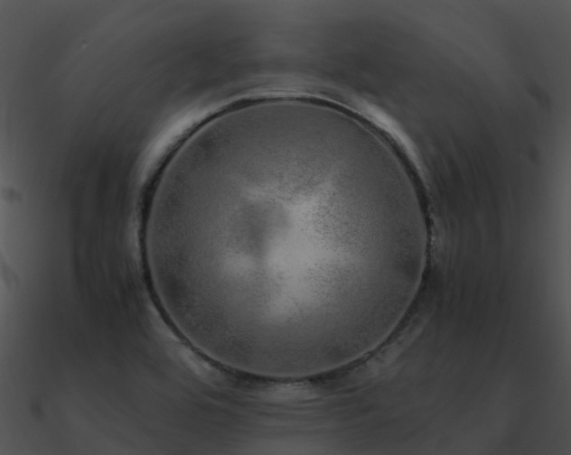 X0000090991464200708021512