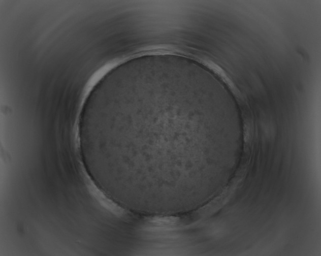 X0000090991466200708021512