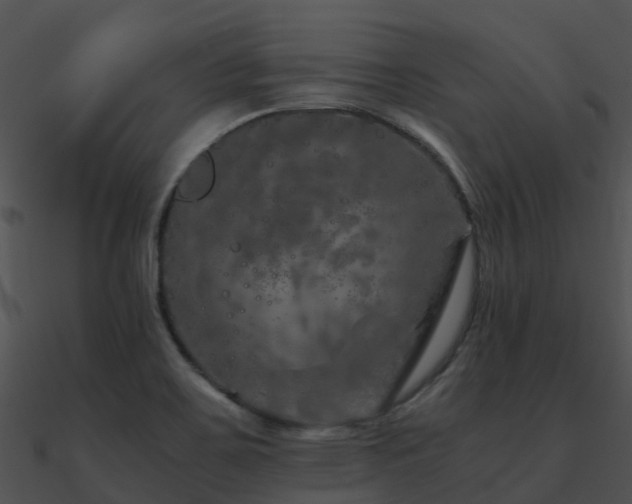 X0000090991467200708021512