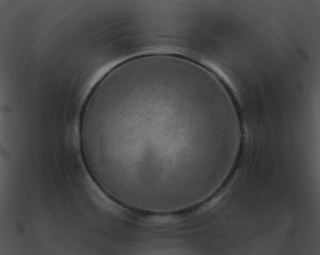 X0000090991468200708021512