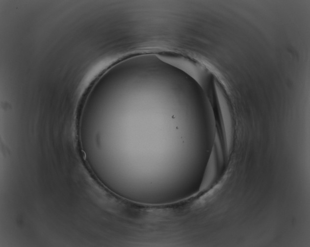 X0000090991469200708021512