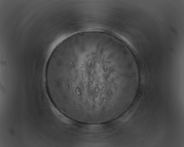 X0000090991471200708021511