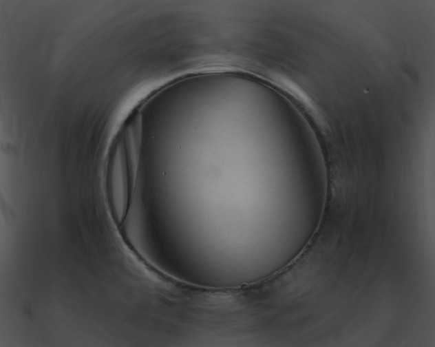X0000090991472200708021511