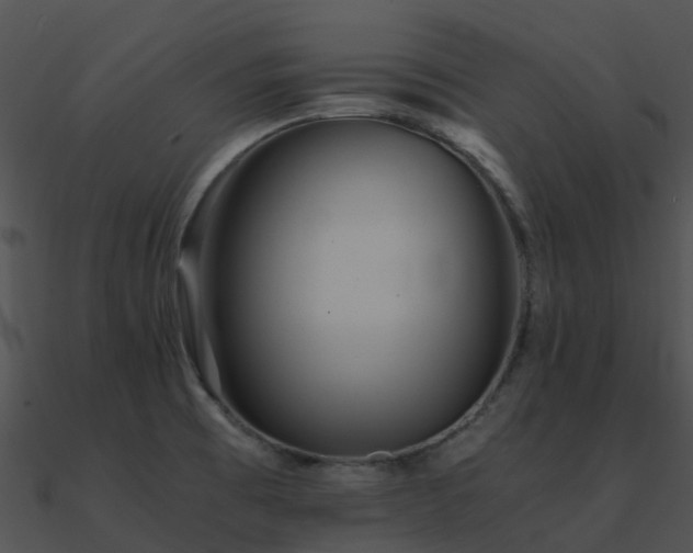 X0000090991473200708021511