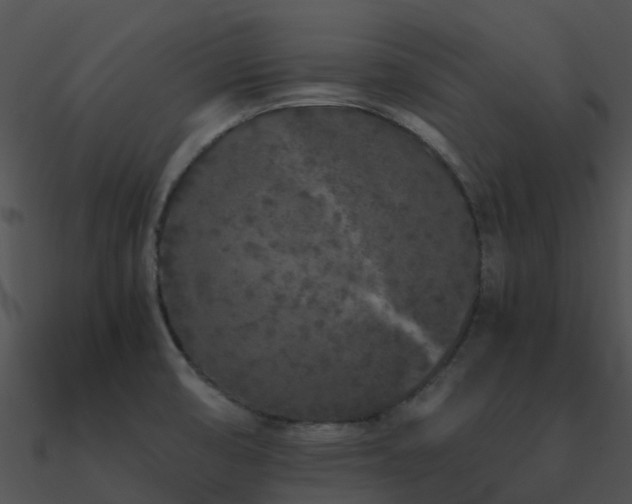X0000090991474200708021511