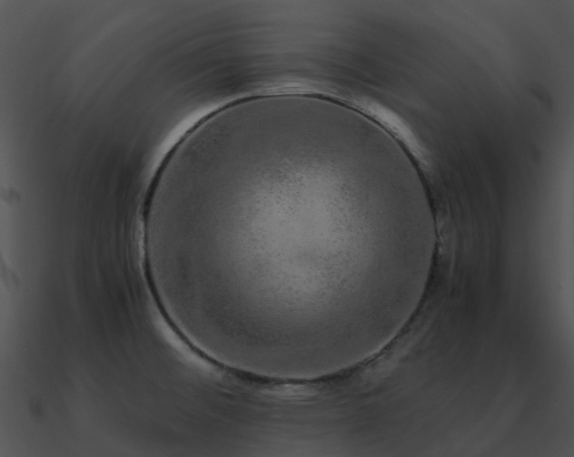 X0000090991476200708021511