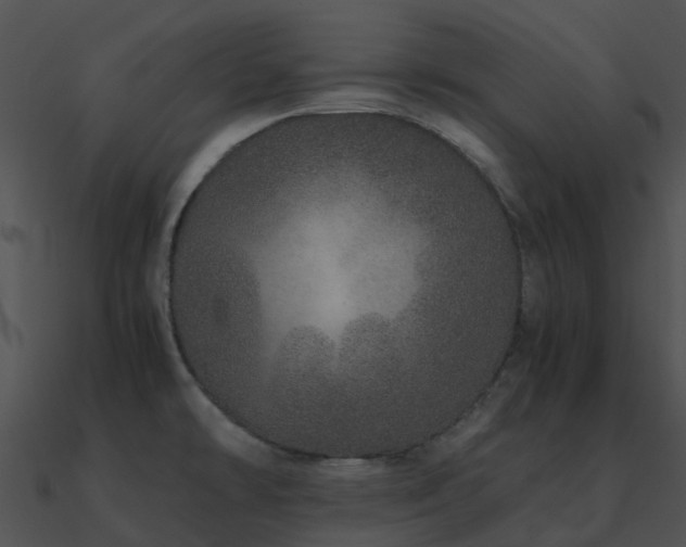 X0000090991478200708021511