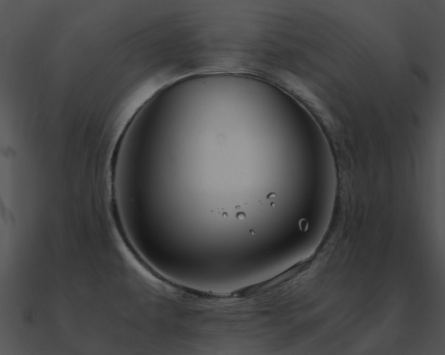 X0000090991479200708021511