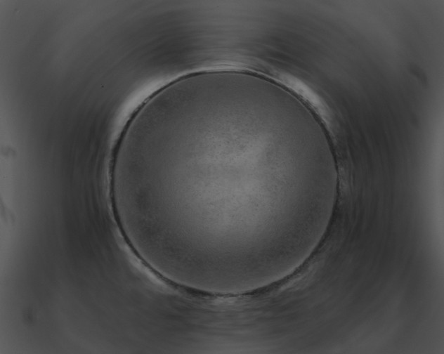 X0000090991480200708021511