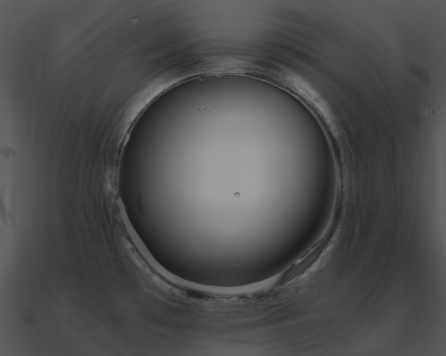 X0000090991481200708021511
