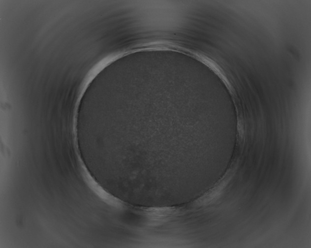 X0000090991482200708021511