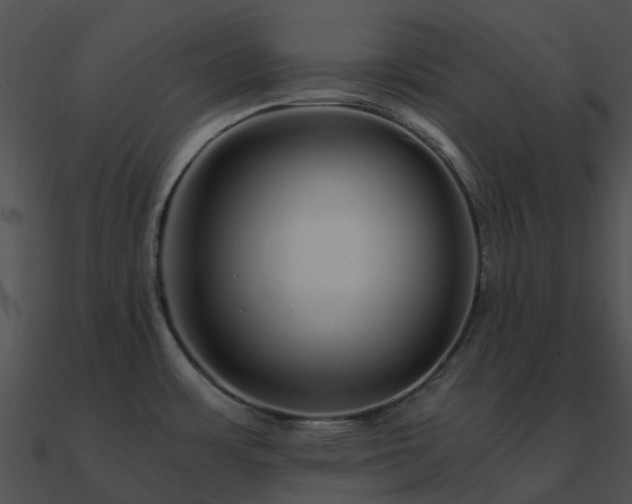 X0000090991483200708021511