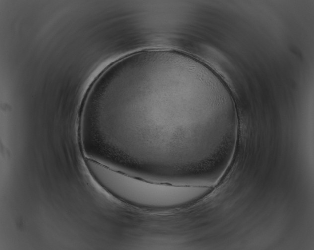 X0000090991484200708021511