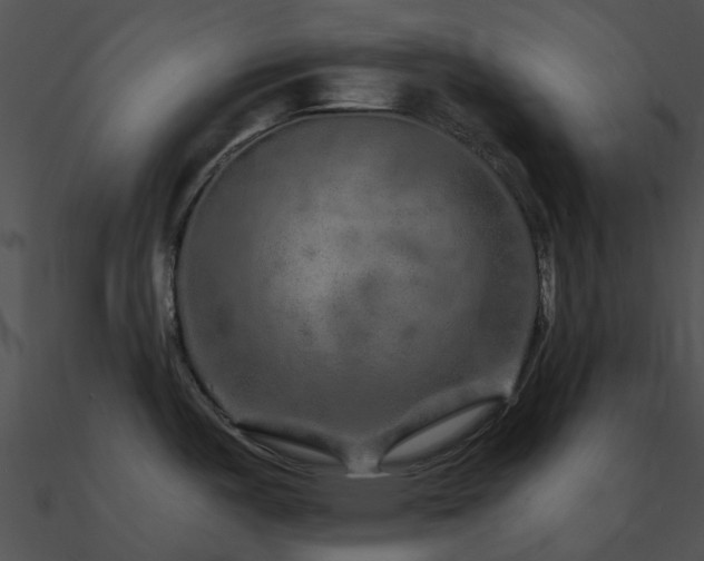 X0000090991487200708021511
