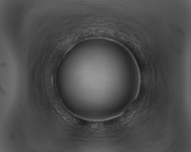 X0000090991489200708021511