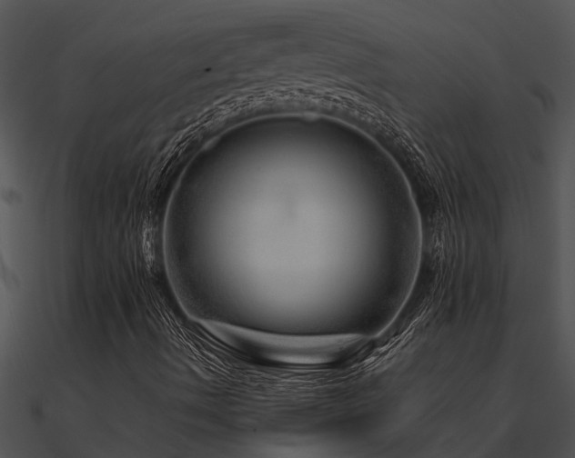 X0000090991490200708021511