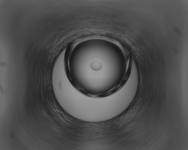 X0000090991492200708021511