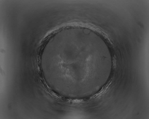 X0000090991494200708021511