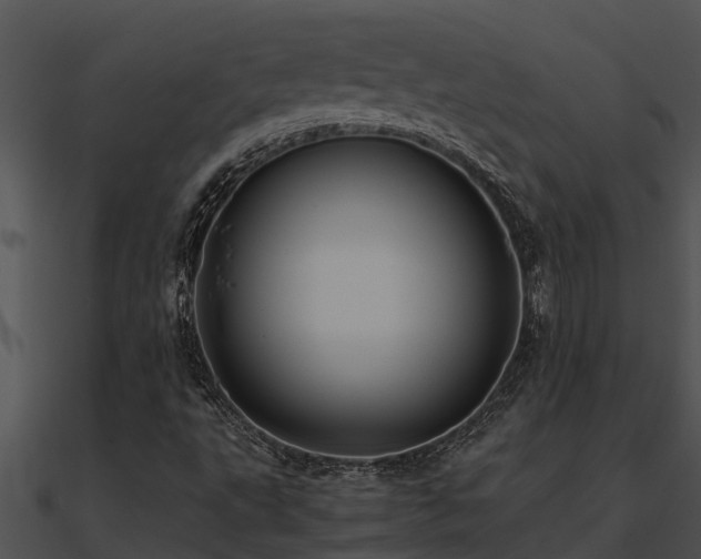 X0000090991495200708021511
