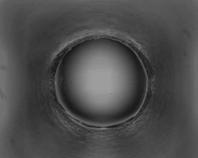 X0000090991496200708021511
