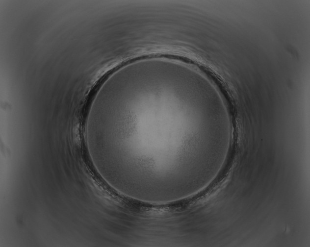 X0000090991497200708021511
