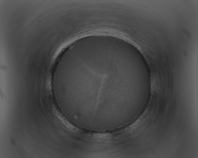 X0000090991498200708021511