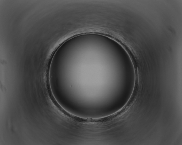 X0000090991500200708021511