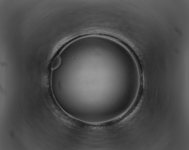 X0000090991501200708021511