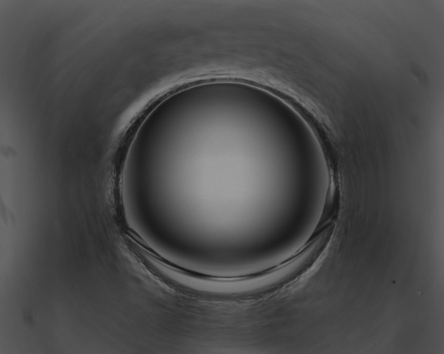 X0000090991502200708021511