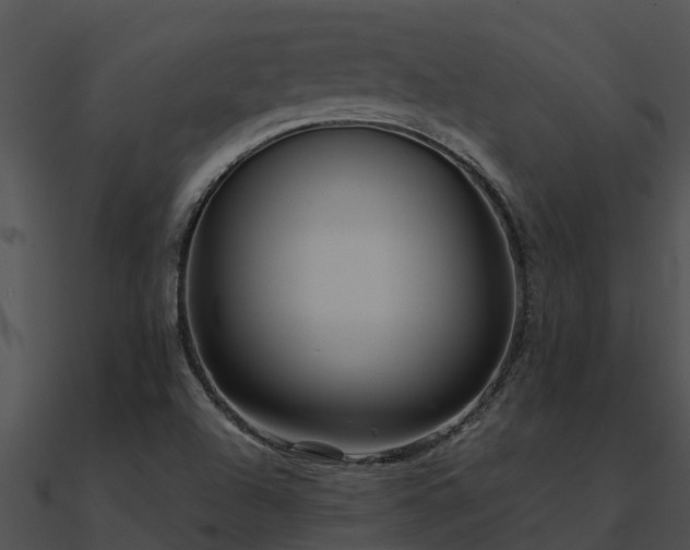 X0000090991504200708021511