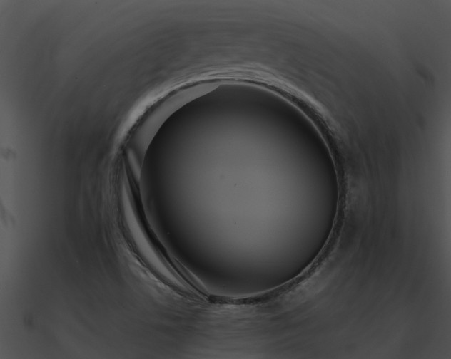 X0000090991506200708021511