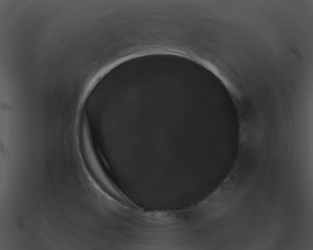X0000090991508200708021511