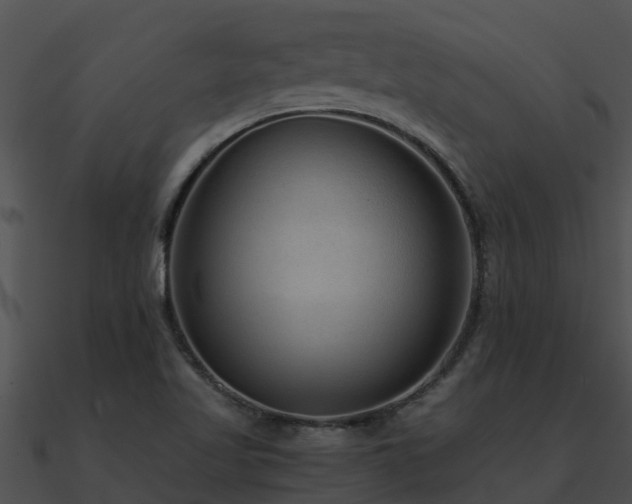 X0000090991509200708021511