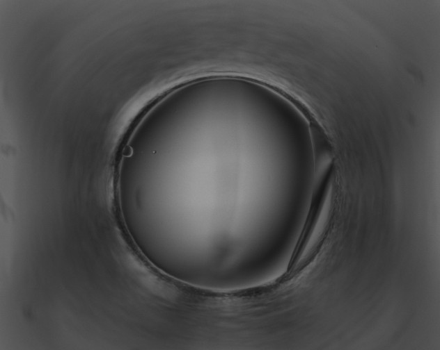 X0000090991511200708021511