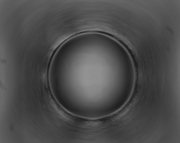 X0000090991513200708021511